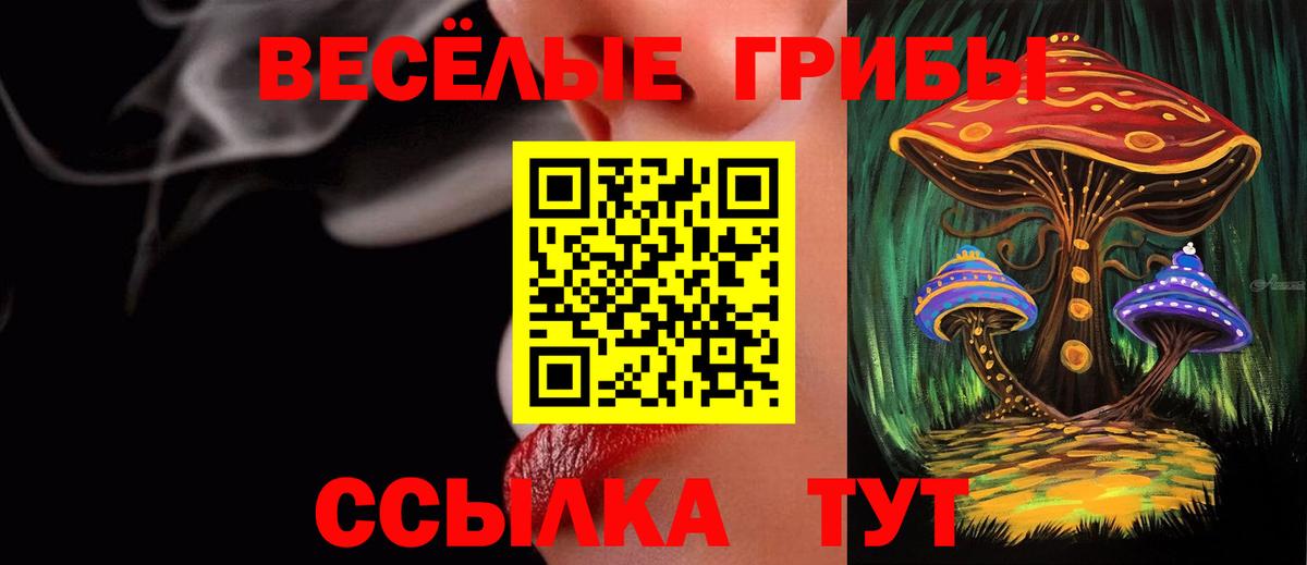 Псилоцибиновые грибы ЛСД  Вход с VPN  как найти   Курчатов  Псилоцибиновые грибы Magic Shrooms 